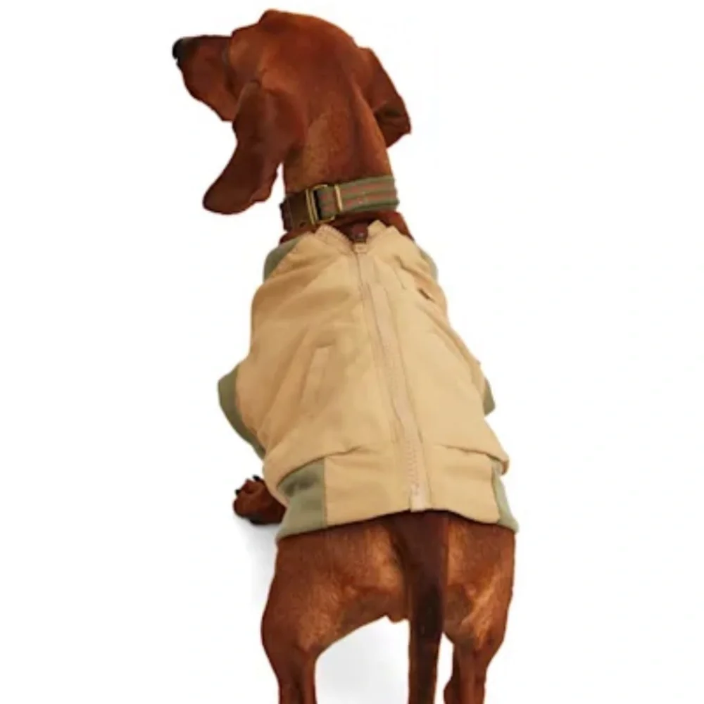 NWT Reddy tan dog bomber jacket XS